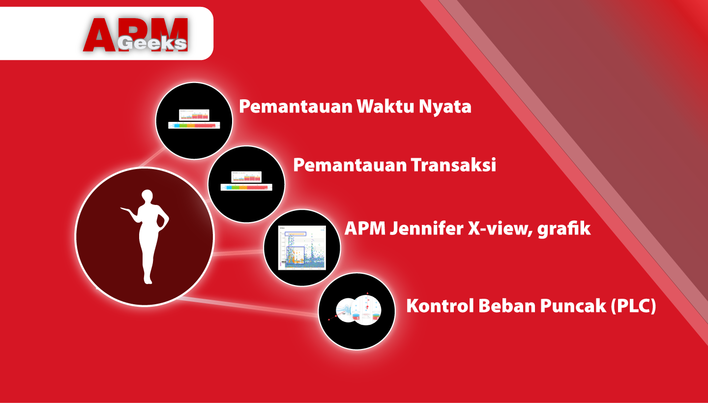 fungsi Application Performance Monitoring 